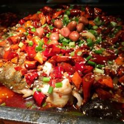 赛格鱼厂(蒲城店)怎么样,好不好的默认点评-蒲城县