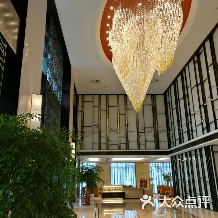 长青国际酒店(运河厅自助餐-大堂图片-江都区美食-大众点评网