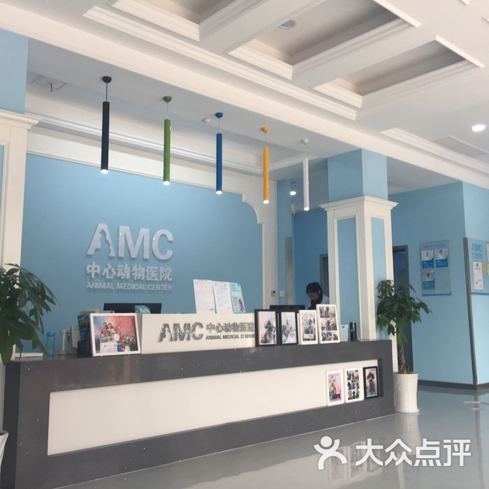 amc中心动物医院图片-北京宠物医院-大众点评网