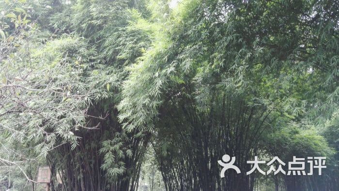 人文生态朴宝园--环境图片-新津县周边游-大众点评网