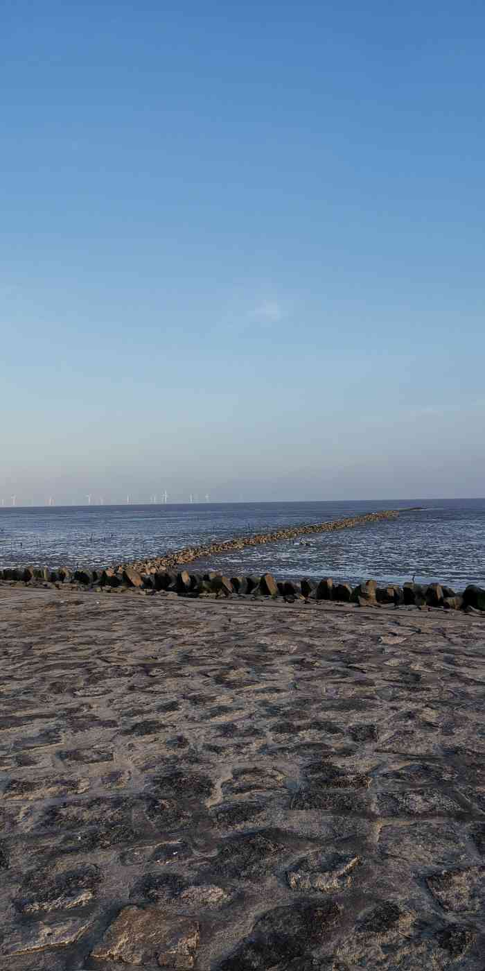 芦潮港海滩-"芦潮港,来回120公里,上海的海,脏是脏.