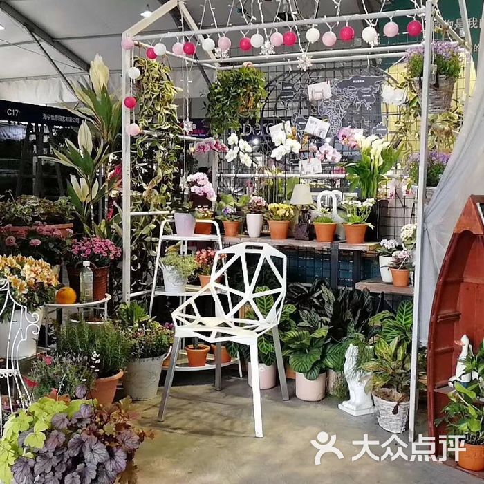 海宁国际花卉城