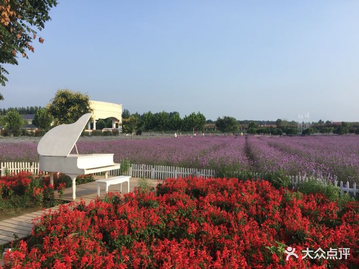 紫云水岸香草园图片