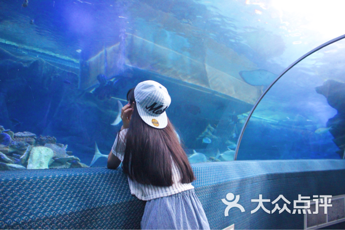 长沙海底世界图片 - 第9张