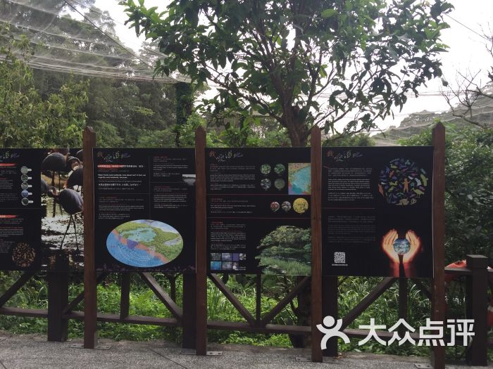 台北市立动物园亚洲热带雨林区图片 - 第11张