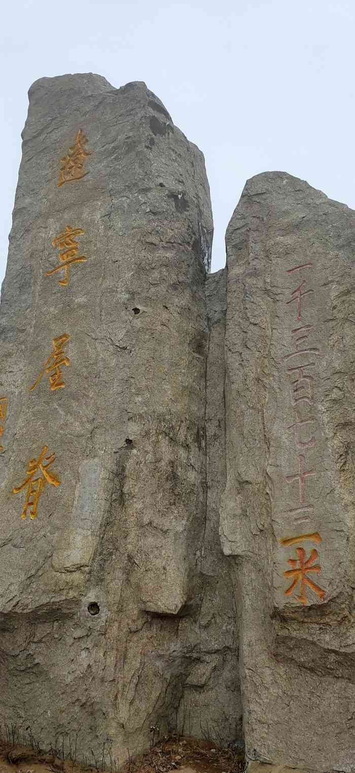 岗山国家森林公园"这个季节的山里总会有一些惊喜野生的的山.