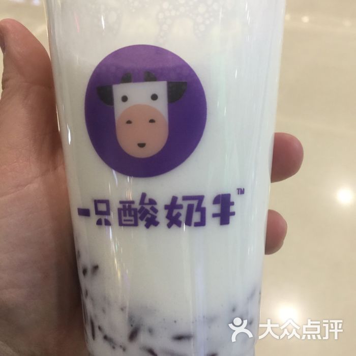 一只酸奶牛