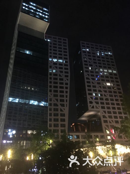 成都雅诗阁来福士服务公寓酒店外观夜景图片 - 第220张
