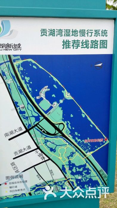 贡湖湾湿地公园图片 - 第17张