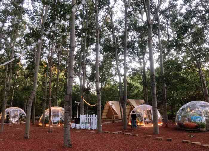 帐篷家一号营地-"朝阳公园里,藏着一个营地:帐篷家.