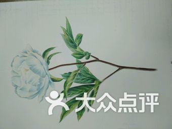 【淮安清河区淮海北路音乐培训培训机构,音乐