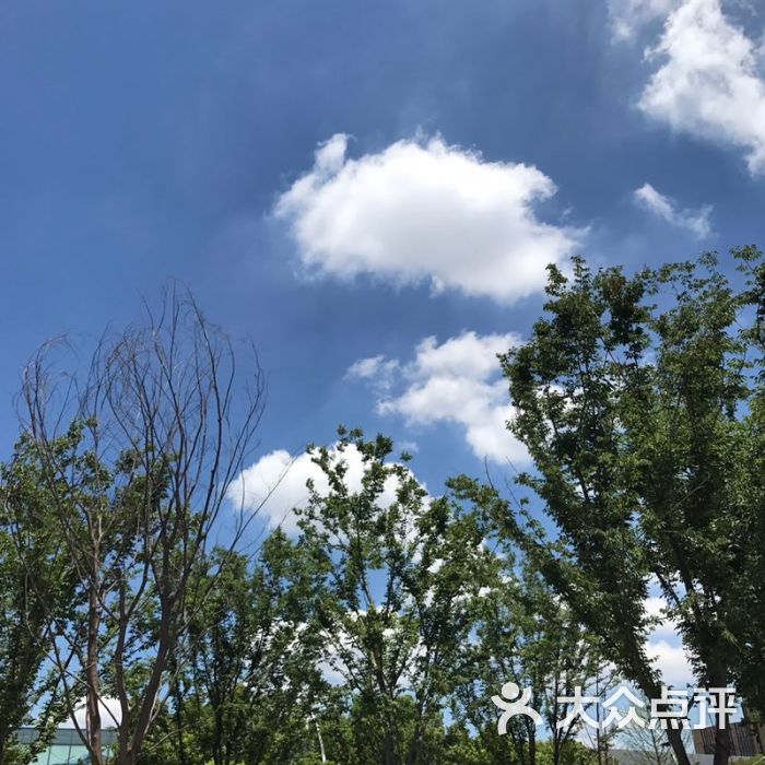 吴中路上进停车场不方便,一开始没找到进口.