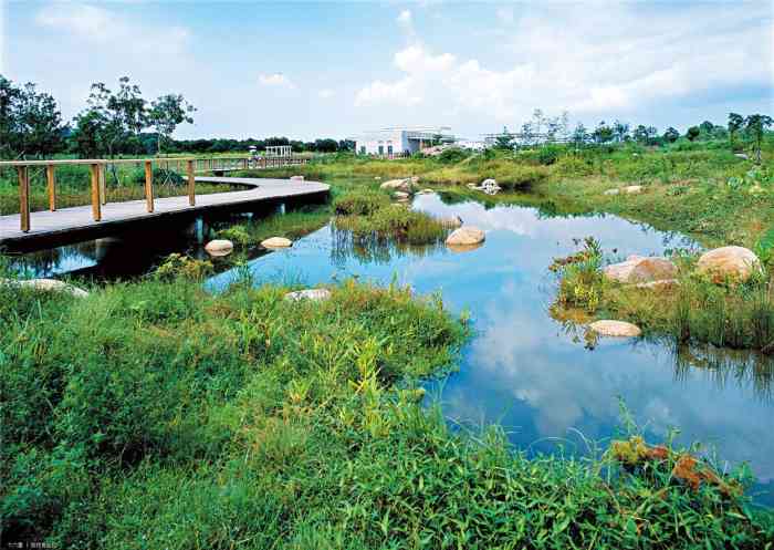 大黄堡湿地自然保护区