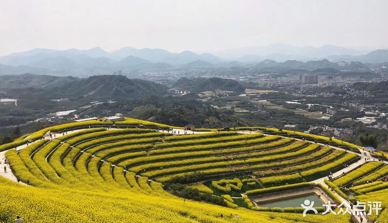 杭州富阳的新登村的黑山顶成了名副其实的"网红