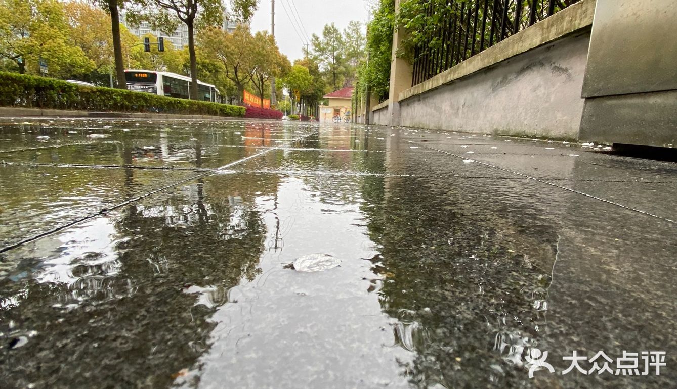 偶尔出来放风偶遇一下雨后的下午