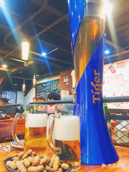 撸串儿一东北烧烤(田林店)虎牌啤酒一炮图片 - 第262张