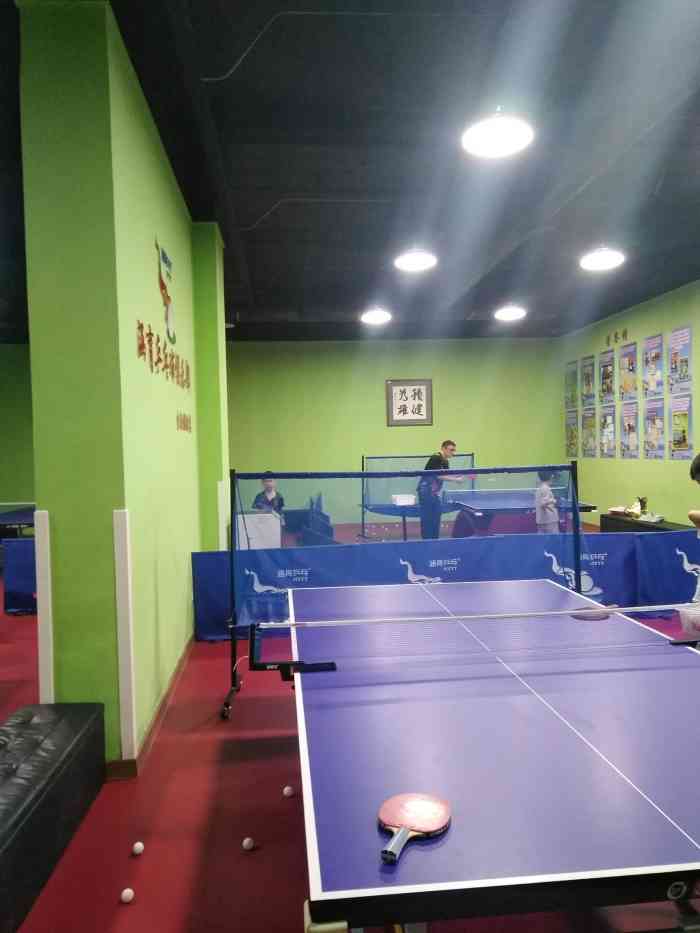 涵育乒乓球俱乐部培训(生达店)-"在众多的体育运动中