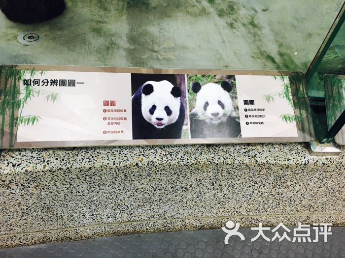 台北市立动物园图片 - 第8张