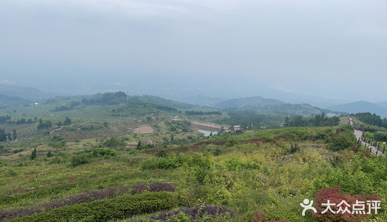 金堂龚家山