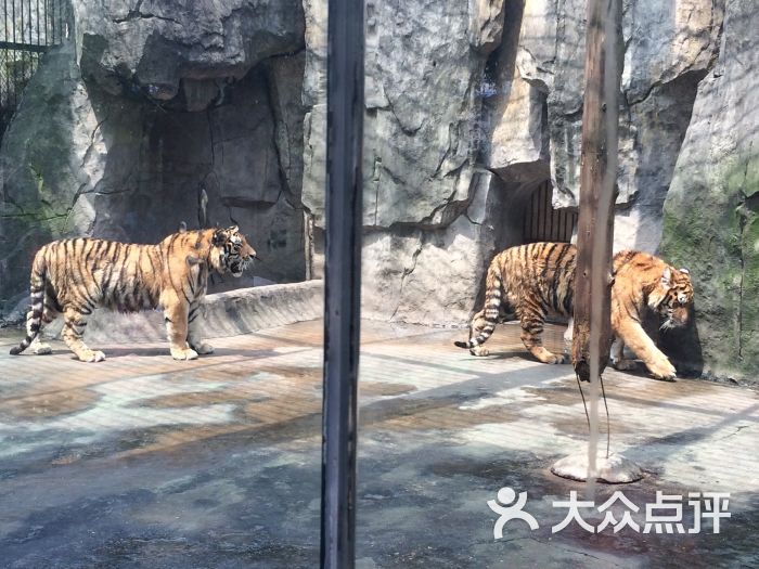 南昌新动物园-图片-南昌景点