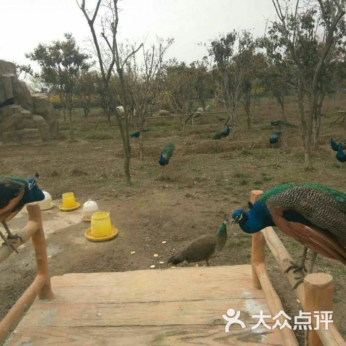 光谷半岛生态体验园