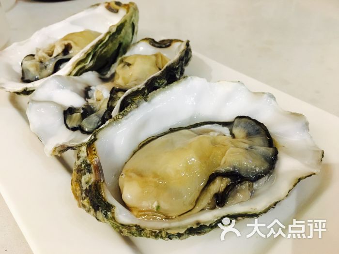 坊蒸汽海鲜主题餐厅(合生汇店-加拿大生蚝图片-上海美食-大众点评网