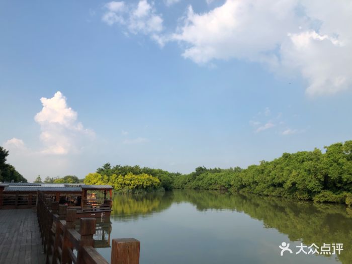 南沙湿地公园图片 - 第52张