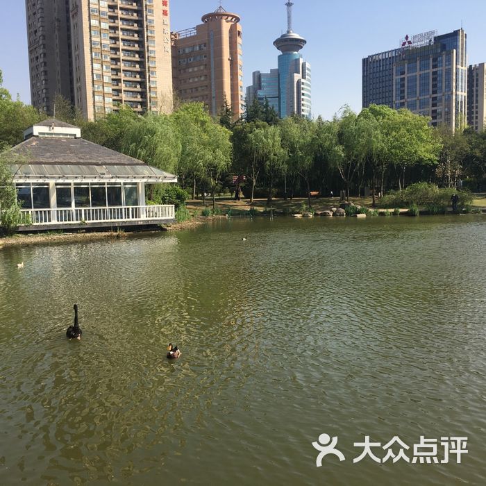 新虹桥中心公园
