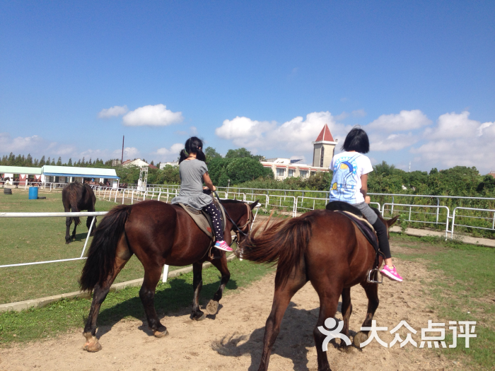 上海横沙岛马术俱乐部惊帆马场图片 第5张