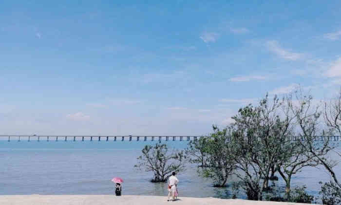 宝安西湾红树林湿地公园