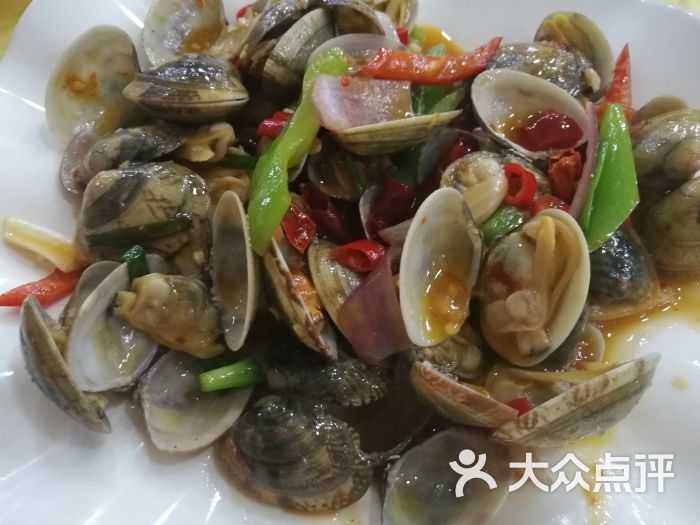 春园海鲜广场c区5号(主店-黑口螺图片-三亚美食-大众点评网