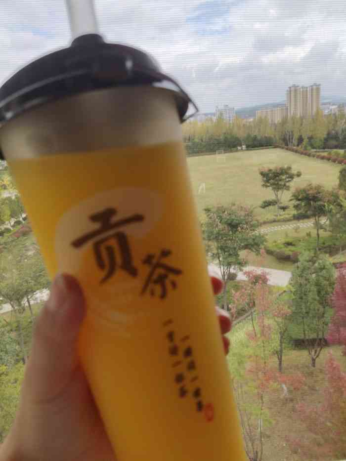 贡茶gongcha-"「杨枝甘露」点了一份外卖,我点的是杨.