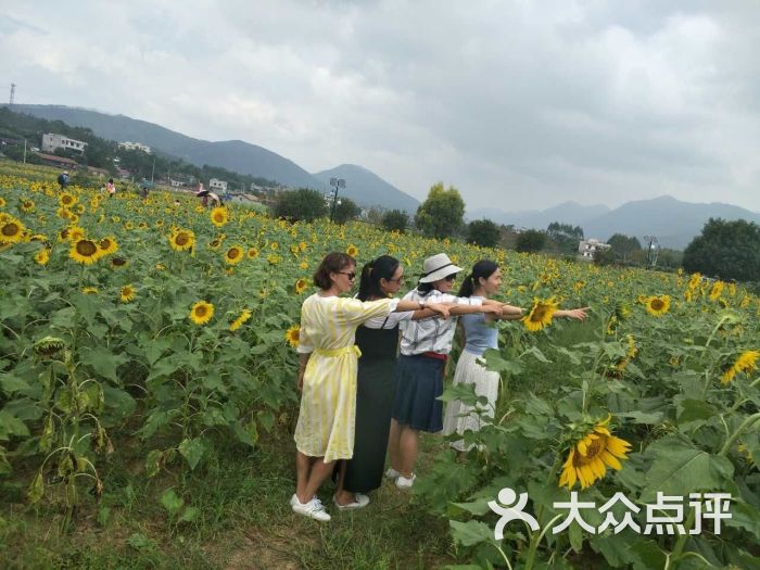 下莲塘特色文化名村-图片-武宣县休闲娱乐-大众点评网