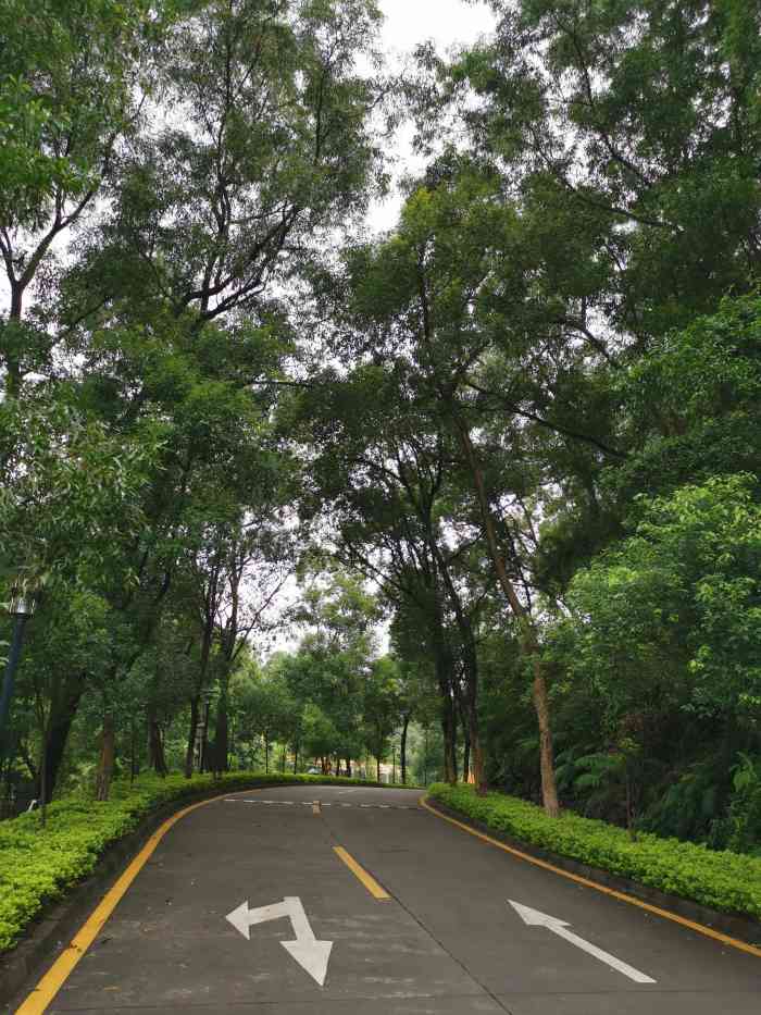 小瀛洲度假村(番禺疗养院)-"座落在大夫山上,拥有纯,.