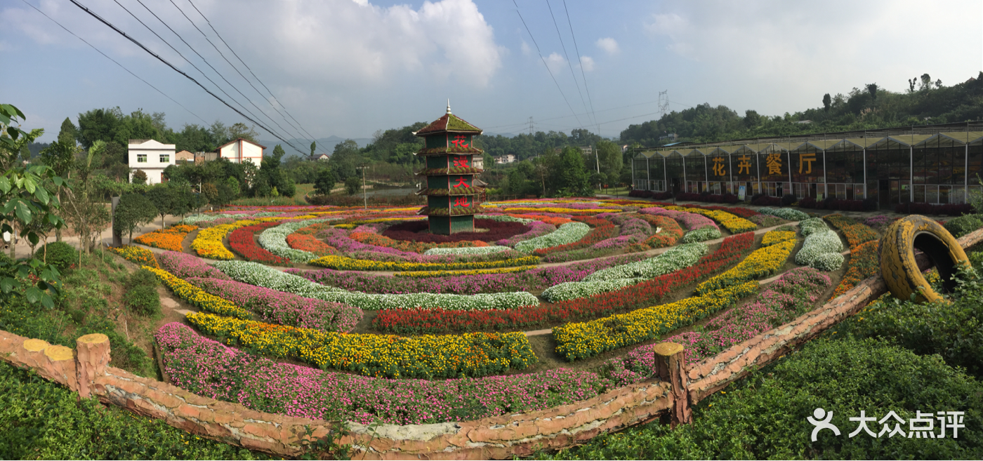 凤凰花海景区图片 - 第32张