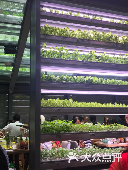 蔡澜越南粉(海岸城店)