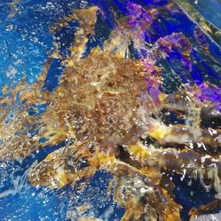 高广场】电话_地址_价格_营业时间_松江区综