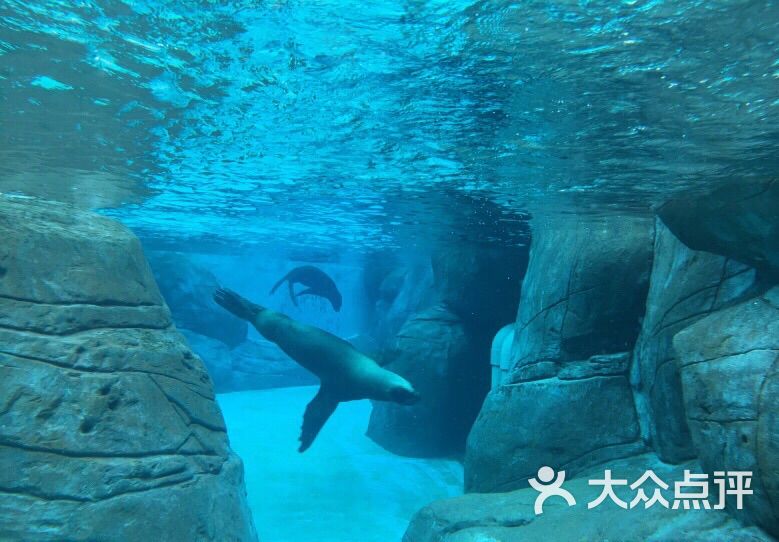 海昌极地海洋世界公园停车场图片 - 第2张