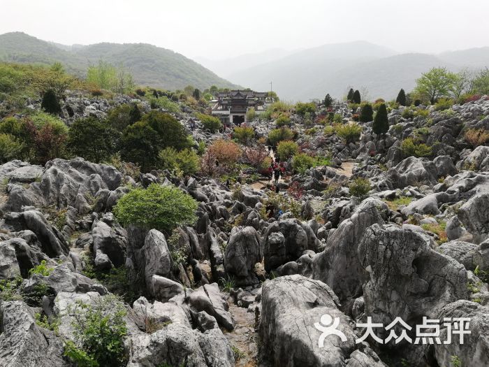 丫山花海石林旅游区-图片-南陵县周边游-大众点评网