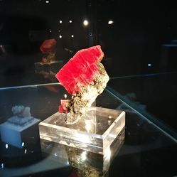 【河北地质博物馆】电话_地址_价格_营业时间