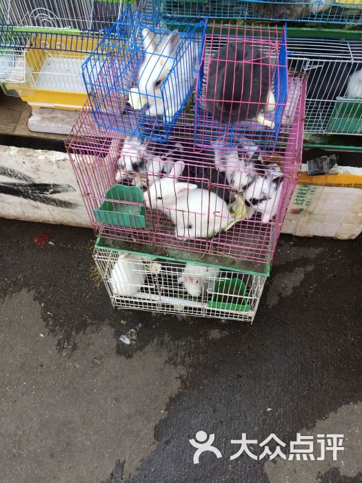 娱人码头-图片-济南休闲娱乐-大众点评网