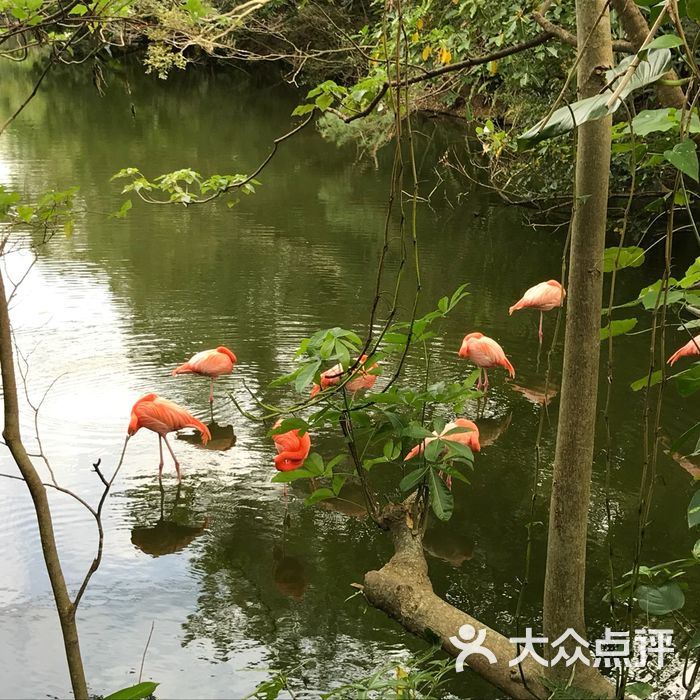 冲绳自然动植物公园