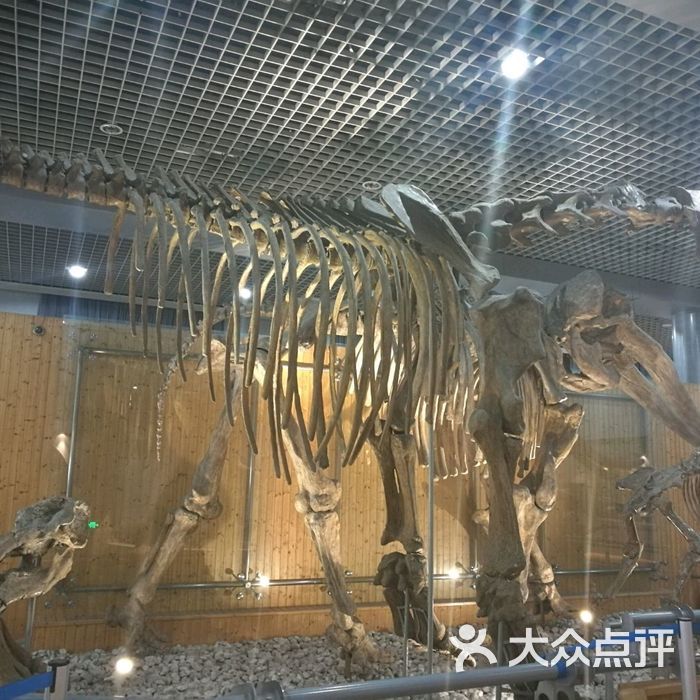 北京自然博物馆