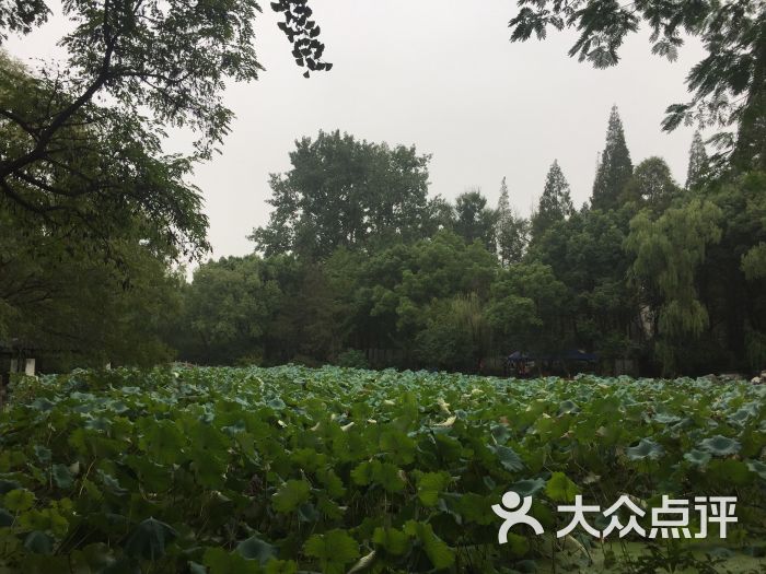 莲花庄公园图片 - 第1张