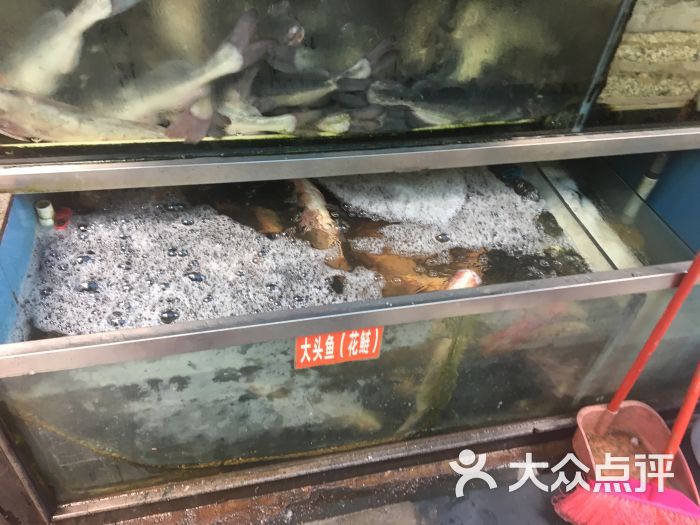 佳友重庆乌江活鱼店(八卦岭店)图片 第11张