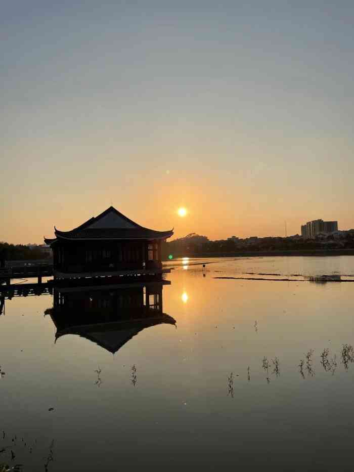 莲湖公园-"莲湖公园,位东莞桥头镇,号称东莞最大的莲.