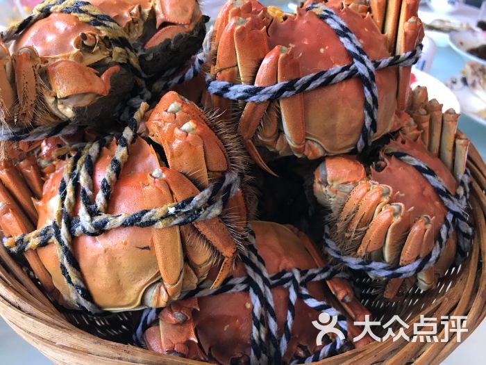 莲花岛渔家乐蟹舫(阳澄湖店)阳澄湖大闸蟹图片 第14张