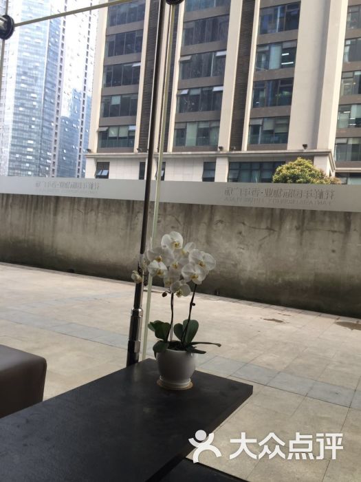 香年广场t3栋图片 第5张