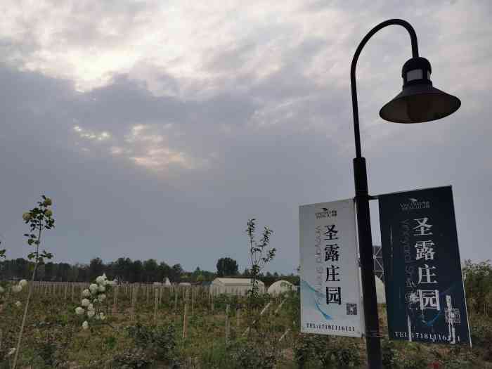圣露庄园"我就是非常怀疑自己置身于法国南部的葡萄酒.