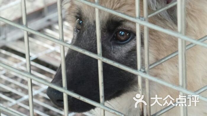 常乐源开心农场